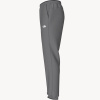 Брюки TNF Wander Jogger 2.0 (Мужской; S; SmokedPearl)